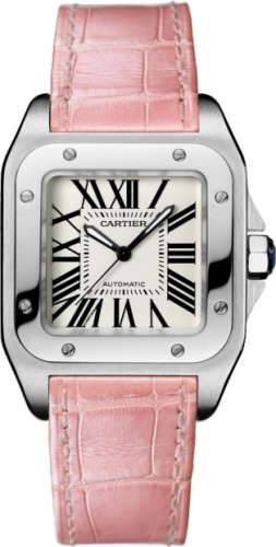 Cartier Santos De Cartier Santos 100 W20126X8